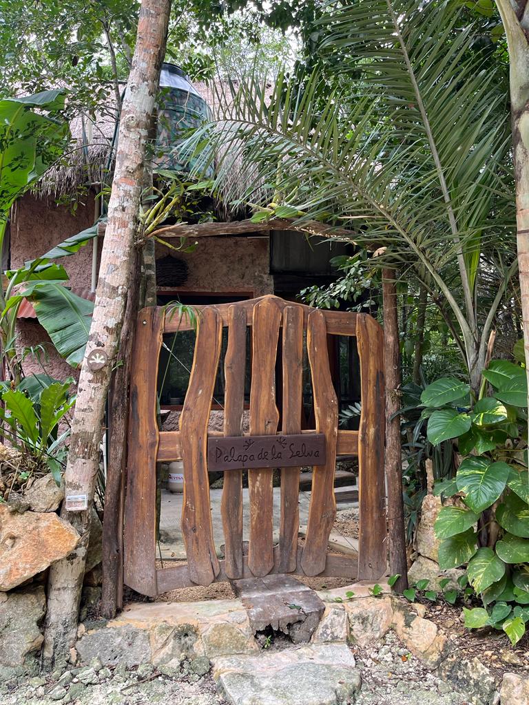 Palapa De La Selva